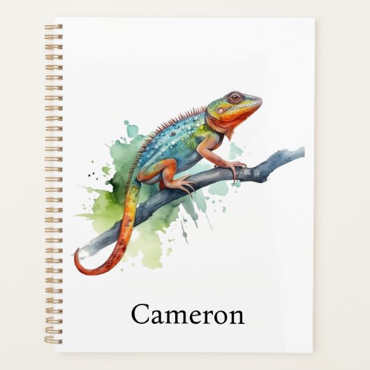 Branche des couleurs : Chameleon Art, coutume (Devant)