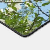 Branche of Dogwood Blossoms Spring Trees (Coin)