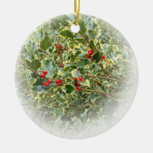 Branche plante Holly ornement arbre de Noël