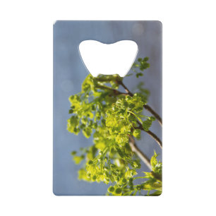 Branche verte mignonne dans le vent