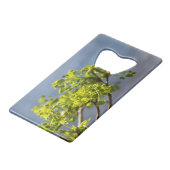 Branche verte mignonne dans le vent (Devant Angle)