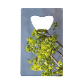 Branche verte mignonne dans le vent (Dos)