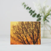 Branchement Carte pour notes vide 1 (Debout devant)