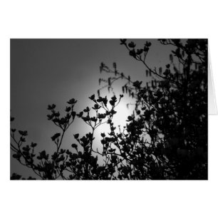 Branches