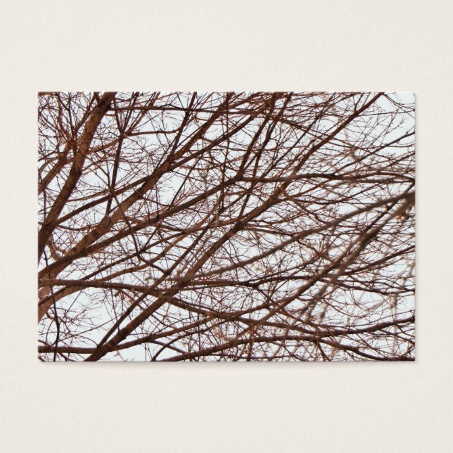 Branches arborescentes à l'automne (Devant)