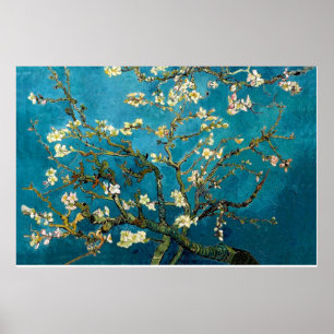 Branches d'amandes en fleurs Affiche Imprimer