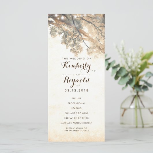 Branches d'arbre rustique Programmes de mariage ex (Debout devant)