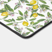 Branches de citron avec fleurs et fruits sur blanc (Coin)