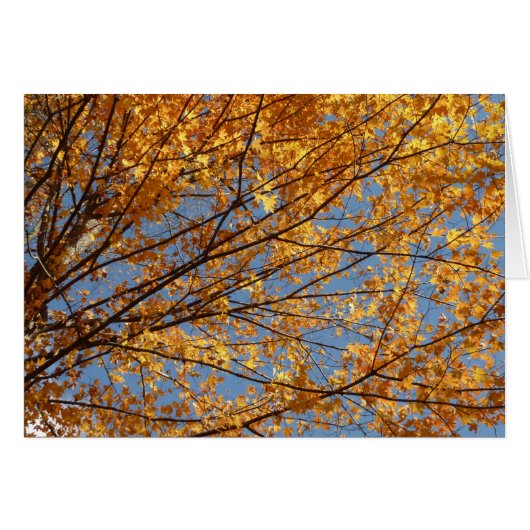 Branches de feuilles d'érable II Automne orange (Devant horizontal)
