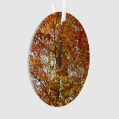 Branches de la nature d'automne Feuille orange (devant)