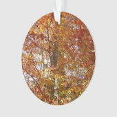 Branches de la nature d'automne Feuille orange (devant)