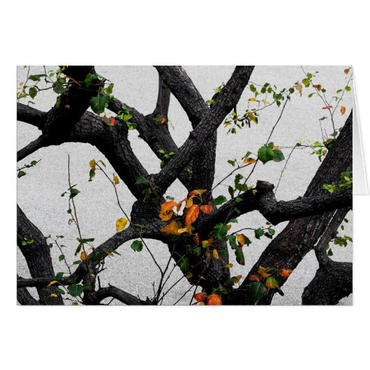 Branches de l'arbre d'automne (Devant horizontal)