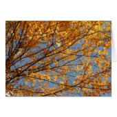 Branches de Maple Feuilles II Orange Automne (Devant horizontal)