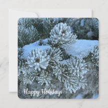 Branches de neige - Carte de vacances à plat
