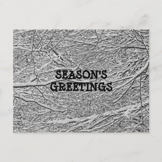 Branches de neige Salutation Carte postale (Devant)