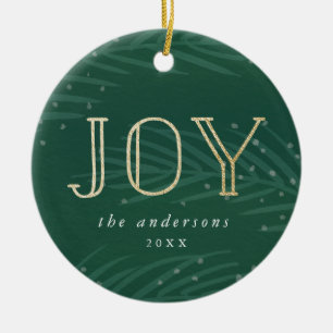 Branches d'hiver   Ornement photo de vacances