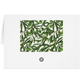Branches d'olive sur blanc (Dos Horizontal)