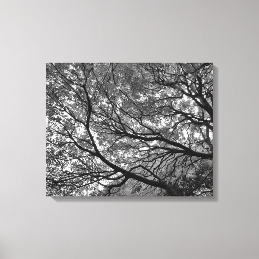 Branches en bladeren canvas afdruk (Voorkant)