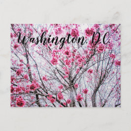 Branches en bloemen van een Cherry Tree Briefkaart