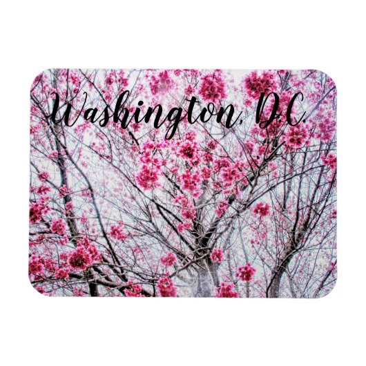 Branches en bloemen van een Cherry Tree Magneet (Horizontaal)