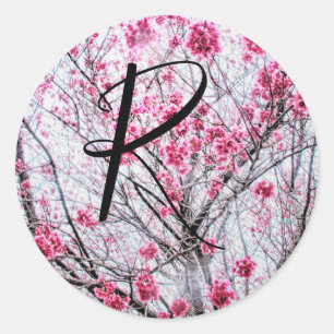 Branches en bloemen van een Cherry Tree Ronde Sticker