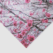 Branches en bloemen van een Cherry Tree Tissuepapier (Detail)