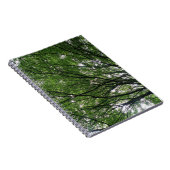 Branches et Carnet Feuille (Côté Droit)