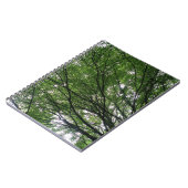 Branches et Carnet Feuille (Côté gauche)
