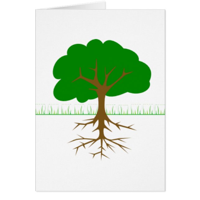 Branches et racines d'arbre (Devant)