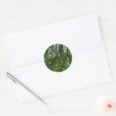 Branches et Stickers Feuille (Enveloppe)