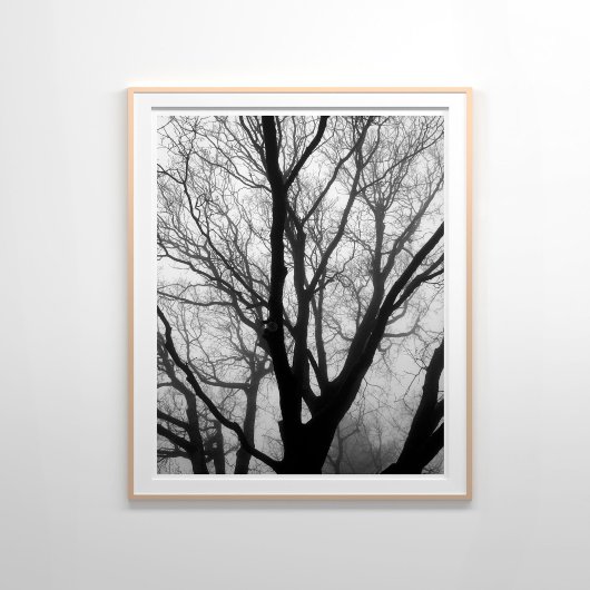 Branches in de Fog Fotografie Poster