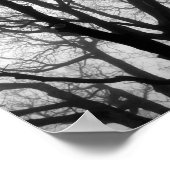 Branches in de Fog Fotografie Poster (Hoek)