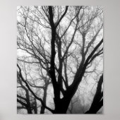 Branches in de Fog Fotografie Poster (Voorkant)
