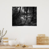 Branches, in sun, UC Santa Cruz, 1963 Poster (Keuken)