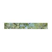 Branches van Dogwood Blossom Spring Trees (Individueel)