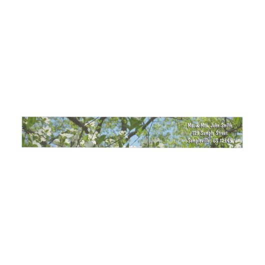 Branches van Dogwood Blossom Spring Trees (Individueel)