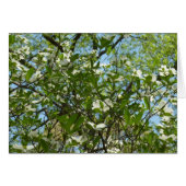 Branches van Dogwood Blossom Spring Trees (Voorkant Horizontaal)