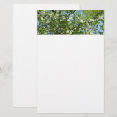 Branches van Dogwood Blossom Spring Trees Briefpapier (Voorkant / Achterkant)
