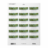 Branches van Dogwood Blossom Spring Trees Etiket (Full Sheet)
