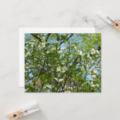 Branches van Dogwood Blossom Spring Trees Kaart (Voorkant / Achterkant in situ)