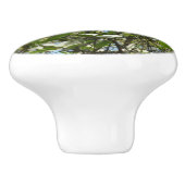 Branches van Dogwood Blossom Spring Trees Keramische Knop (Zijkant)