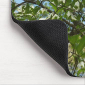 Branches van Dogwood Blossom Spring Trees Muismat (Hoek)