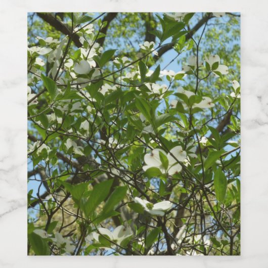 Branches van Dogwood Blossom Spring Trees Wijn Etiket (Enkel label)