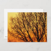 Branching Blank Notecard 1 Briefkaart (Voorkant / Achterkant)