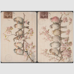 Branchy Birds Tissuepapier