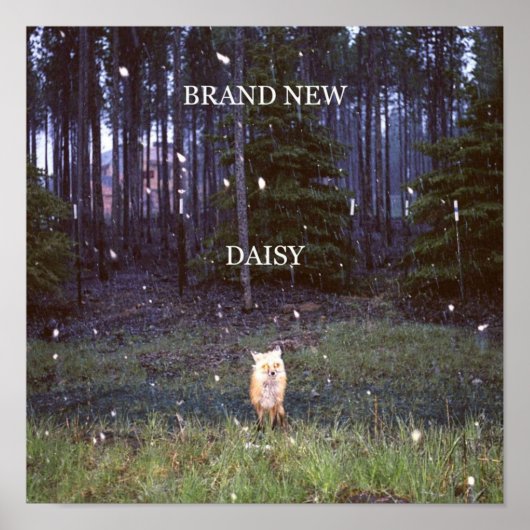 Brand New Daisy Poster (Voorkant)