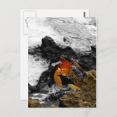 Brand op het zee briefkaart (Voorkant / Achterkant)