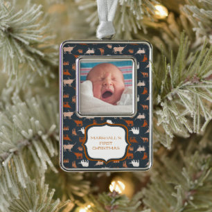 Brand Oranje gebatterde Longhorns Patroonfoto Verzilverd Kader Ornament