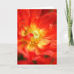 brand rode dahlia kaart