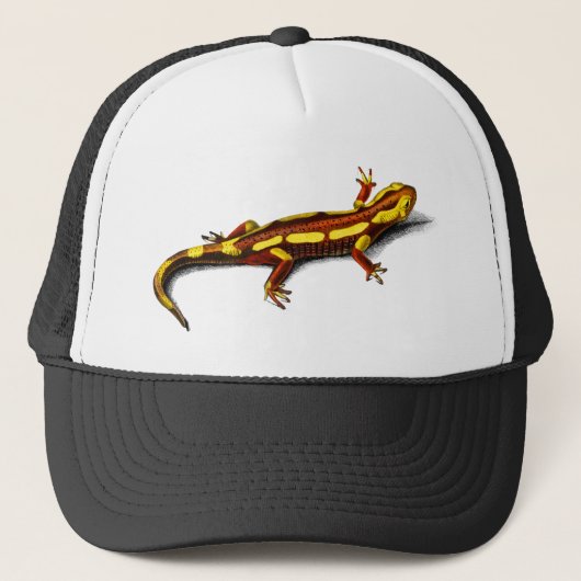  brand Salamander Trucker Pet (Voorkant)